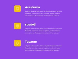 Tasarımdan Lansmana - Özelleştirilebilir Profesyonel WordPress Teması