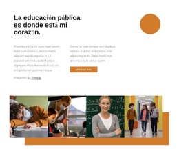 Impresionante Diseño De Sitio Web Para Educacion Publica