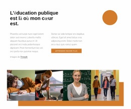 Éducation Publique - Maquette De Site Web Professionnel