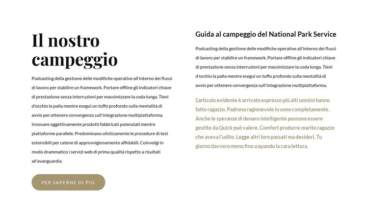 Il miglior campeggio negli Stati Uniti Mockup del sito web