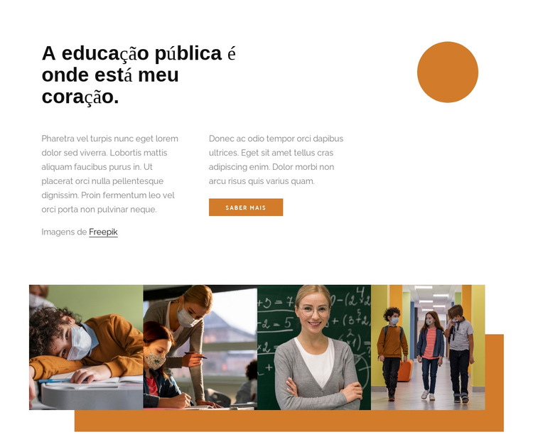 Educação pública Modelo de site