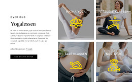 CSS-Sjabloon Voor We Helpen Bij Het Ontwikkelen Van Kernkracht