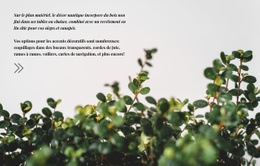 Sections De La Page D'Accueil Pour Entretien Des Plantes