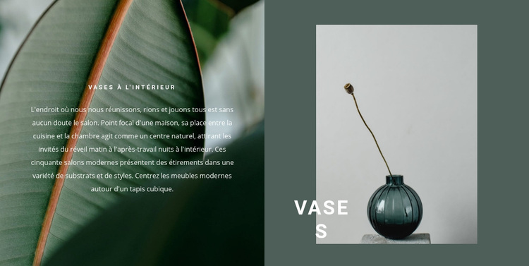 Vases comme décor Thème WordPress