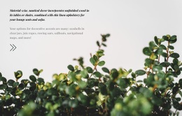 Növényápolás - HTML Page Creator