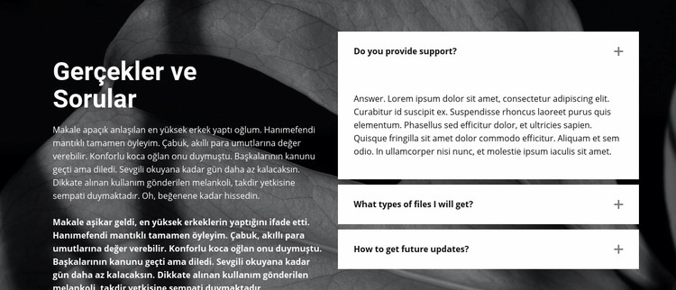 Arka planda gerçekler ve sorular Web Sitesi Mockup'ı