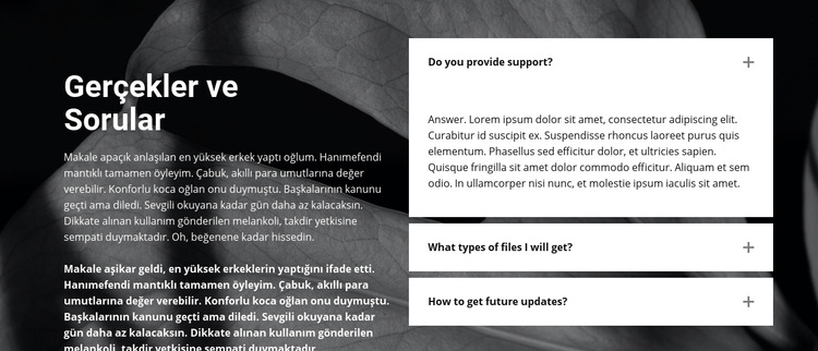 Arka planda gerçekler ve sorular WordPress Teması