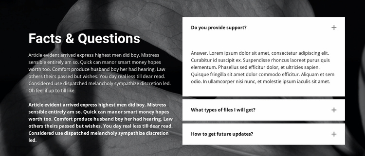 Facts and questions on background Website Template