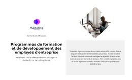 Conception De Site Web Pour Société