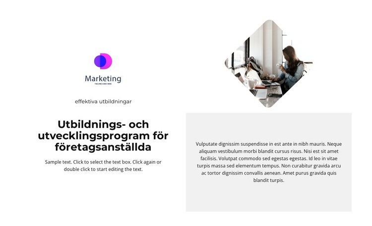 Företag Hemsidedesign