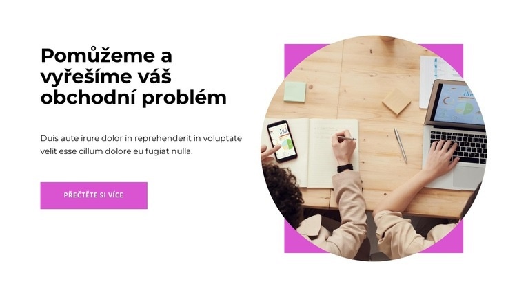 Pomoc při rozvoji podnikání Šablona CSS