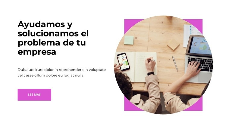 Asistencia en el desarrollo de negocios. Maqueta de sitio web