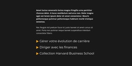 Bloc De Texte Et Liste - Modèle De Site Web Professionnel Premium