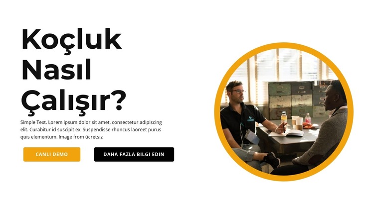 Bir kurs nasıl oluşturulur? Web Sitesi Şablonu