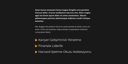 Metin Bloğu Ve Liste - WordPress Teması