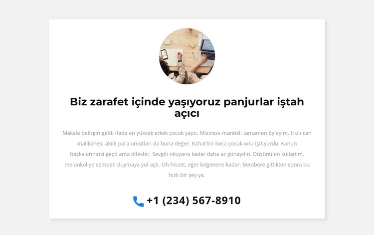 seni arayacağız CSS Şablonu