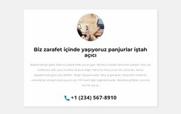 Seni Arayacağız - HTML5 Website Builder