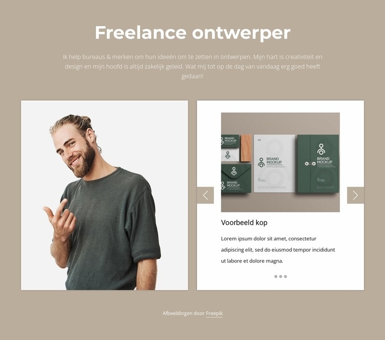 Briljante portefeuille Website ontwerp