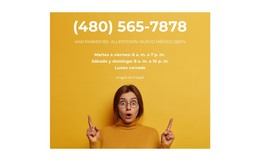 Solicitar Una Llamada Rápida - Plantilla Totalmente Responsiva