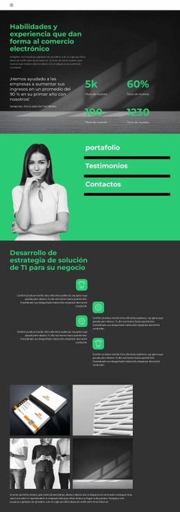 Nivel De Desarrollo Empresarial - Mejor Diseño De Sitio Web