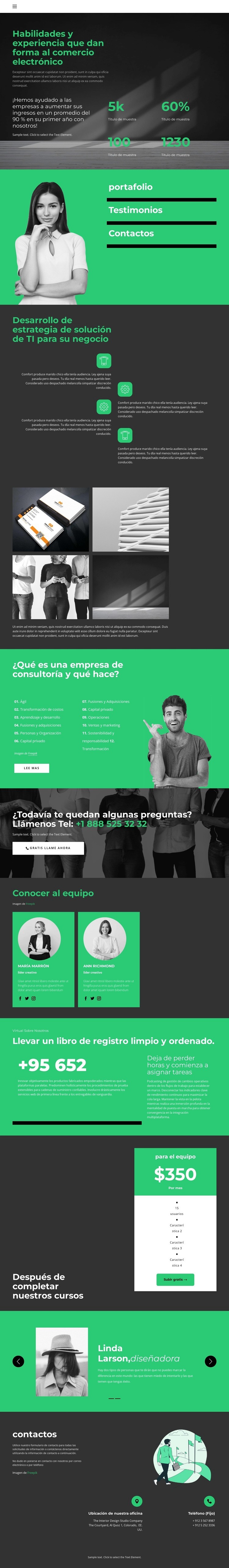 Nivel de desarrollo empresarial Diseño de páginas web