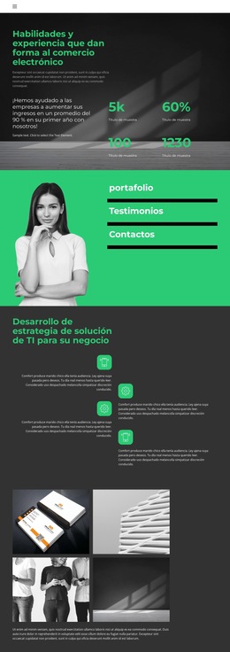 Nivel De Desarrollo Empresarial - Plantilla De Sitio Web Profesional