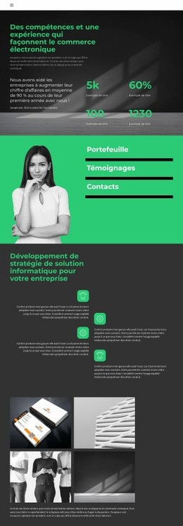 Niveau De Développement Commercial – Meilleure Conception De Site Web