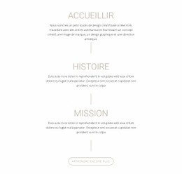 Notre Mission Et Notre Histoire - Modèle De Maquette De Site Web