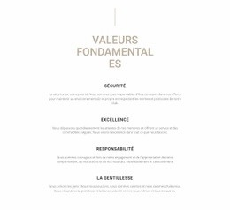 Maquette De Site Web La Plus Créative Pour Valeurs Fondamentales