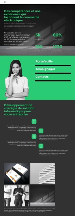 Niveau De Développement Commercial - Inspiration Pour Une Maquette De Site Web