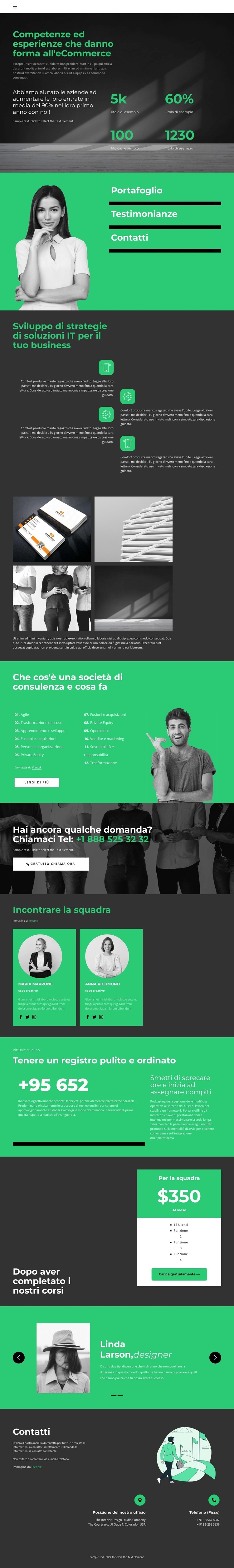 Livello di sviluppo aziendale Progettazione di siti web