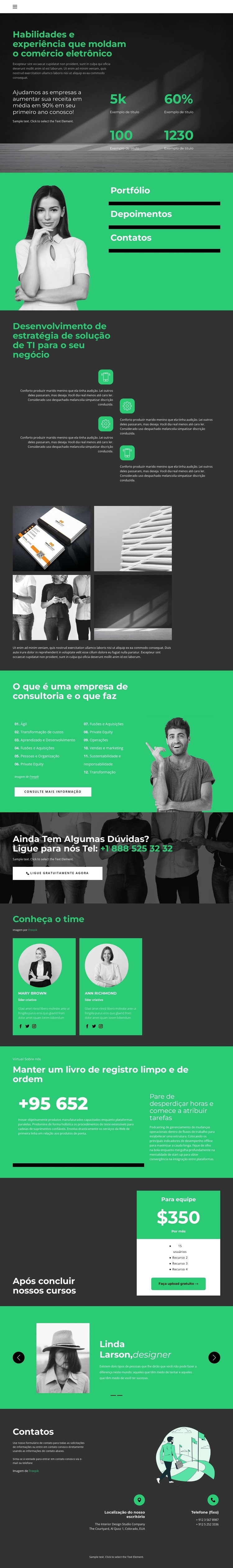 Nível de desenvolvimento de negócios Design do site