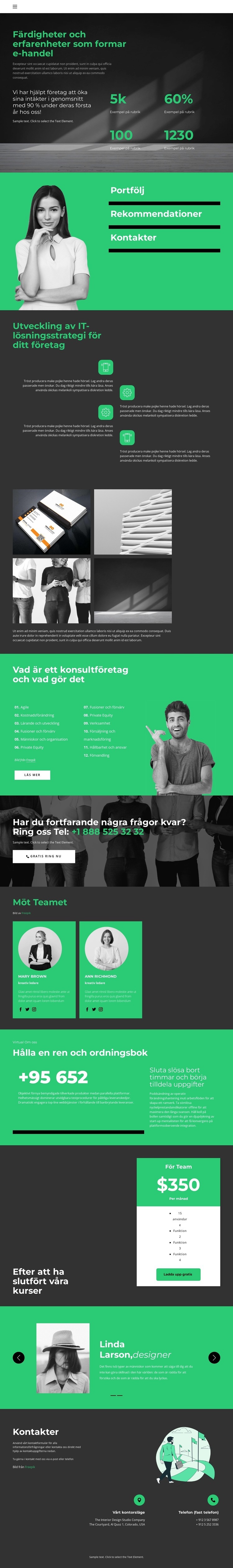 Affärsutvecklingsnivå Hemsidedesign