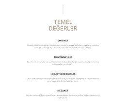 Temel Değerler Premium CSS Şablonu
