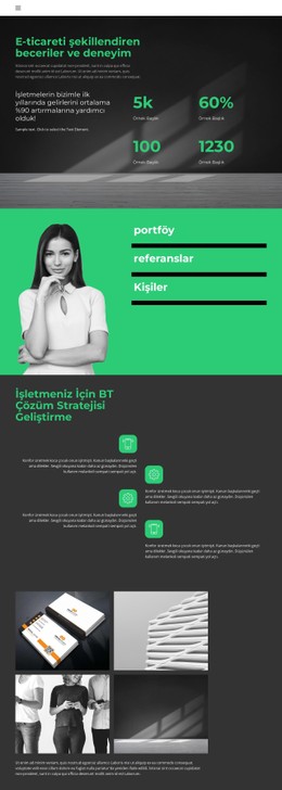 İş Geliştirme Seviyesi Site Şablonu