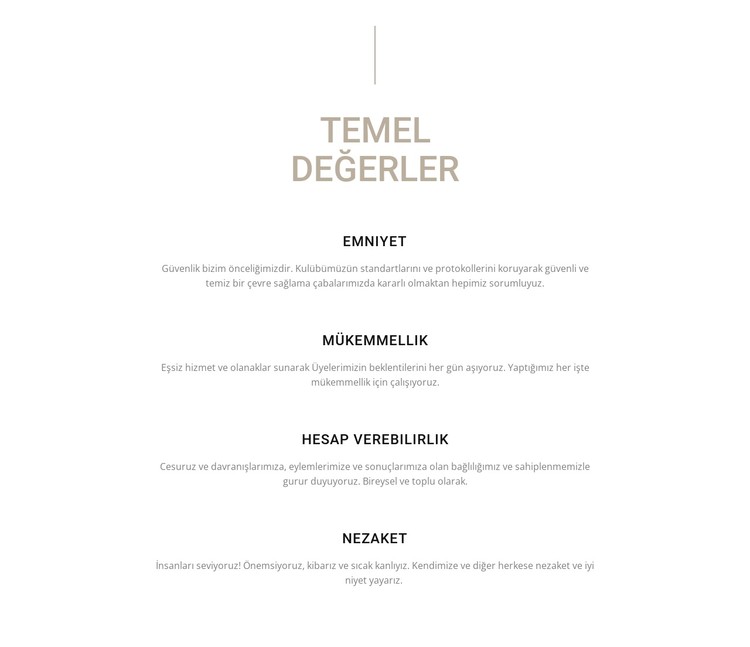 Temel değerler CSS Şablonu