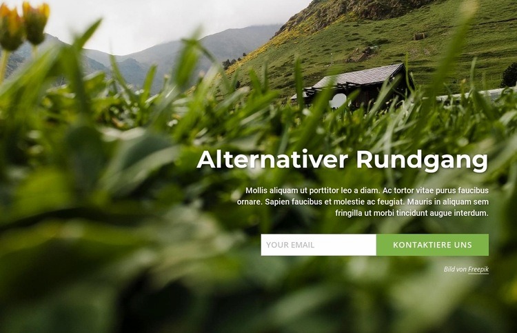 Alternativer Rundgang Website design