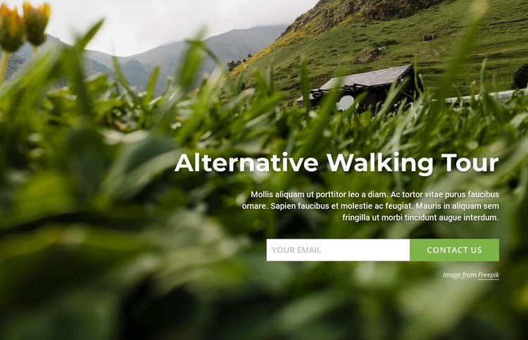 Alternative walking tour Homepage Design