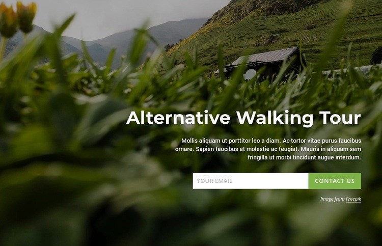 Alternative walking tour Homepage Design