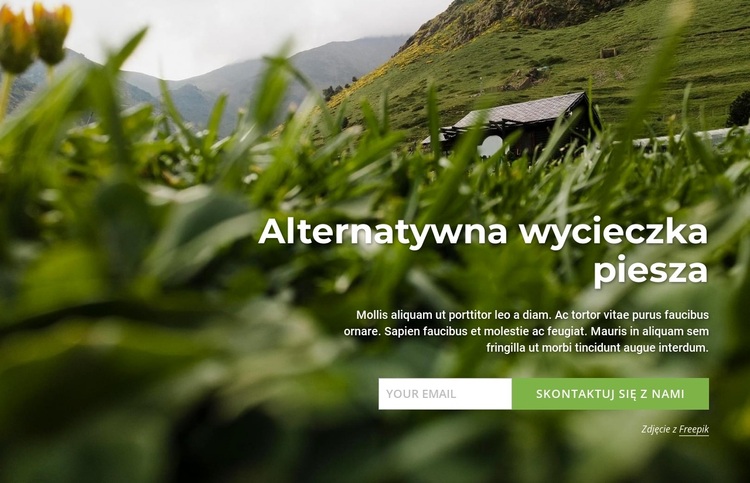 Alternatywna wycieczka piesza Motyw WordPress