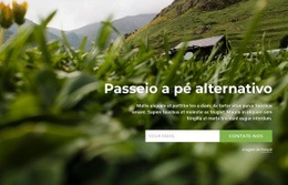 Passeio Alternativo A Pé Design De Site