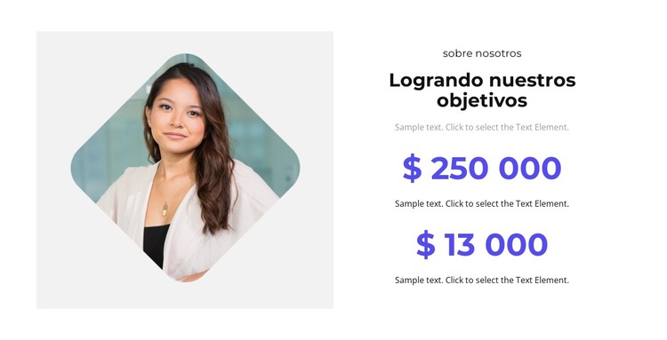 Promoción de objetivos Plantilla CSS