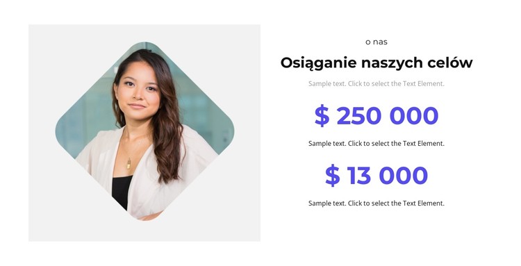 Promocja celu Szablon CSS