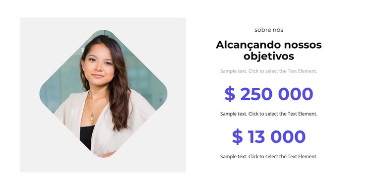 Promoção de meta Tema WordPress