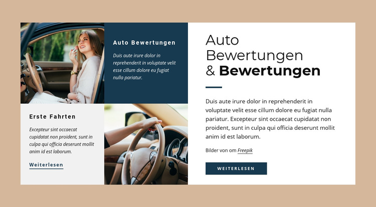 Auto Bewertungen und Raitings Website-Vorlage