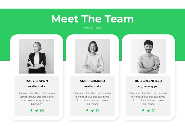 Meet our experts CSS Template