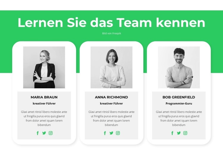 Lernen Sie unsere Experten kennen HTML Website Builder