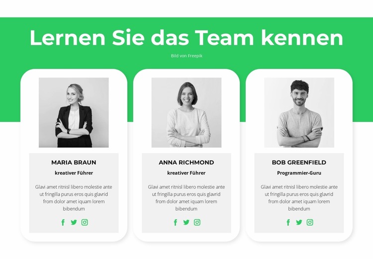 Lernen Sie unsere Experten kennen Joomla Vorlage