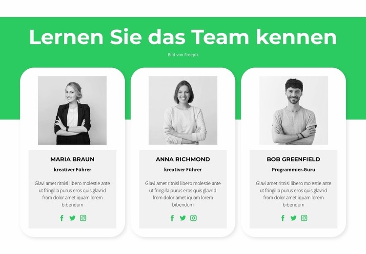 Lernen Sie unsere Experten kennen Website-Modell