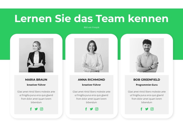 Lernen Sie unsere Experten kennen WordPress-Theme